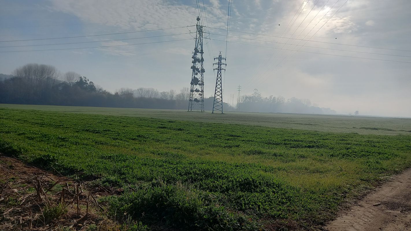 De Rua 31 de Janeiro 29 a Rua 31 de Janeiro 29