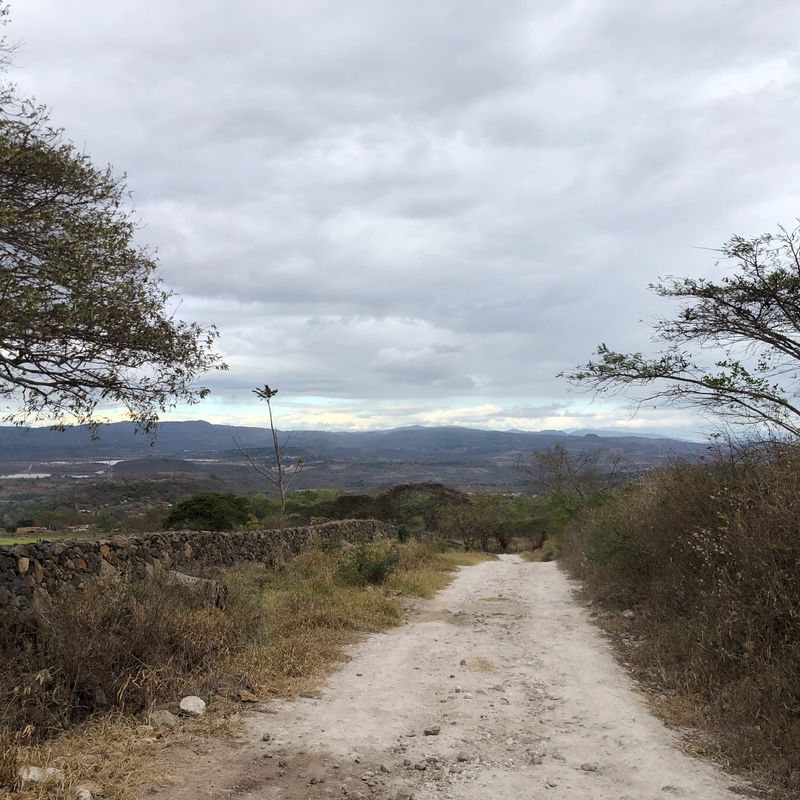 La Palmita