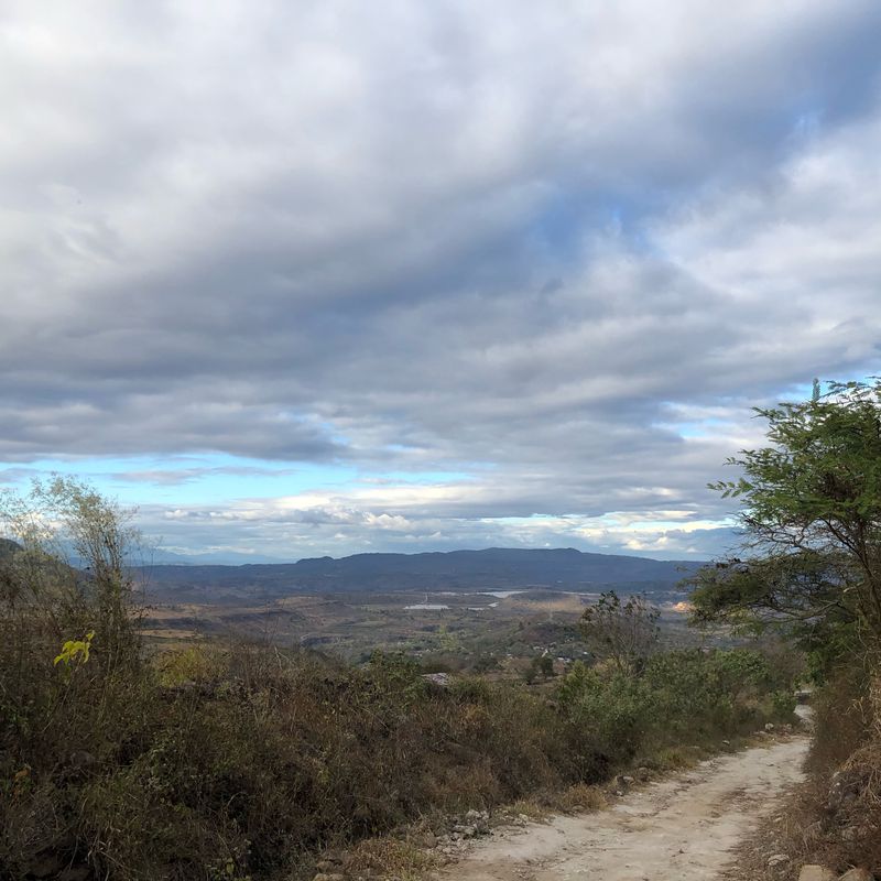 La Palmita