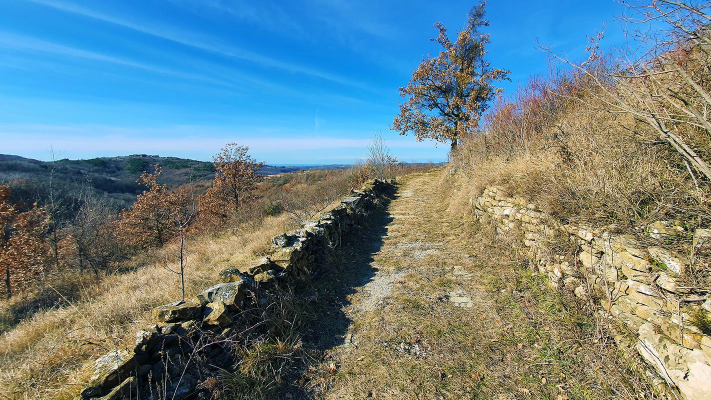 Along the border MTB