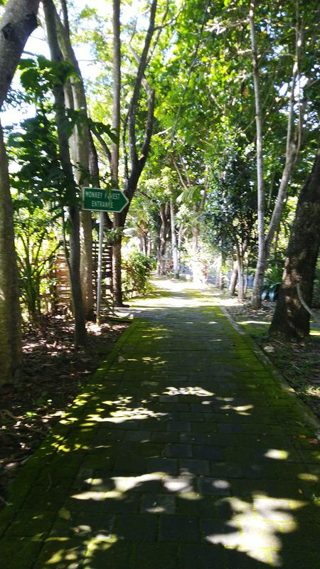 Jalan Monkey Forest No.78, Kecamatan Ubud to F7P2+X9Q, Ubud