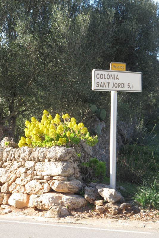 Cala Santanyi SES SALINES SAN JORDI