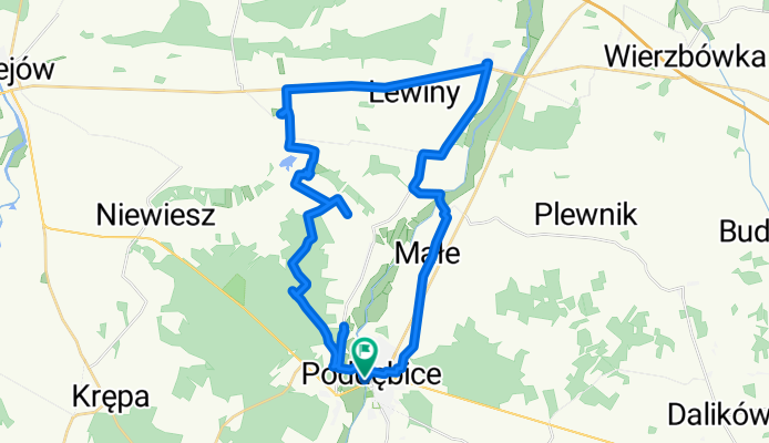 Bronow (bagna)