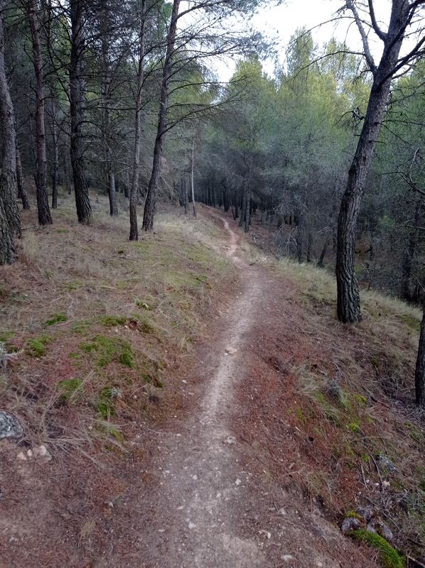 CRUZ DE ARMANTES (CALATAYUD)