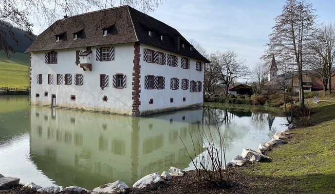 Photo 2 of the Bikemap route "Wasserschloss Inzlingen (E-Bike 25er)"