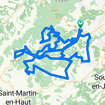 lyonnais