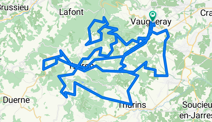 lyonnais