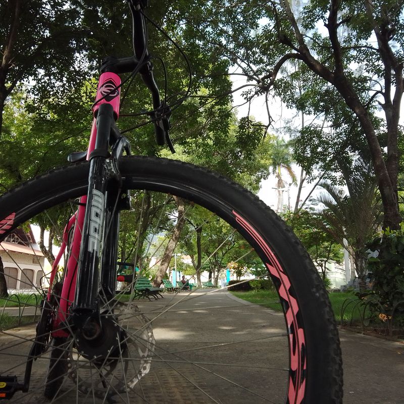 43minutos Passeio rápido em