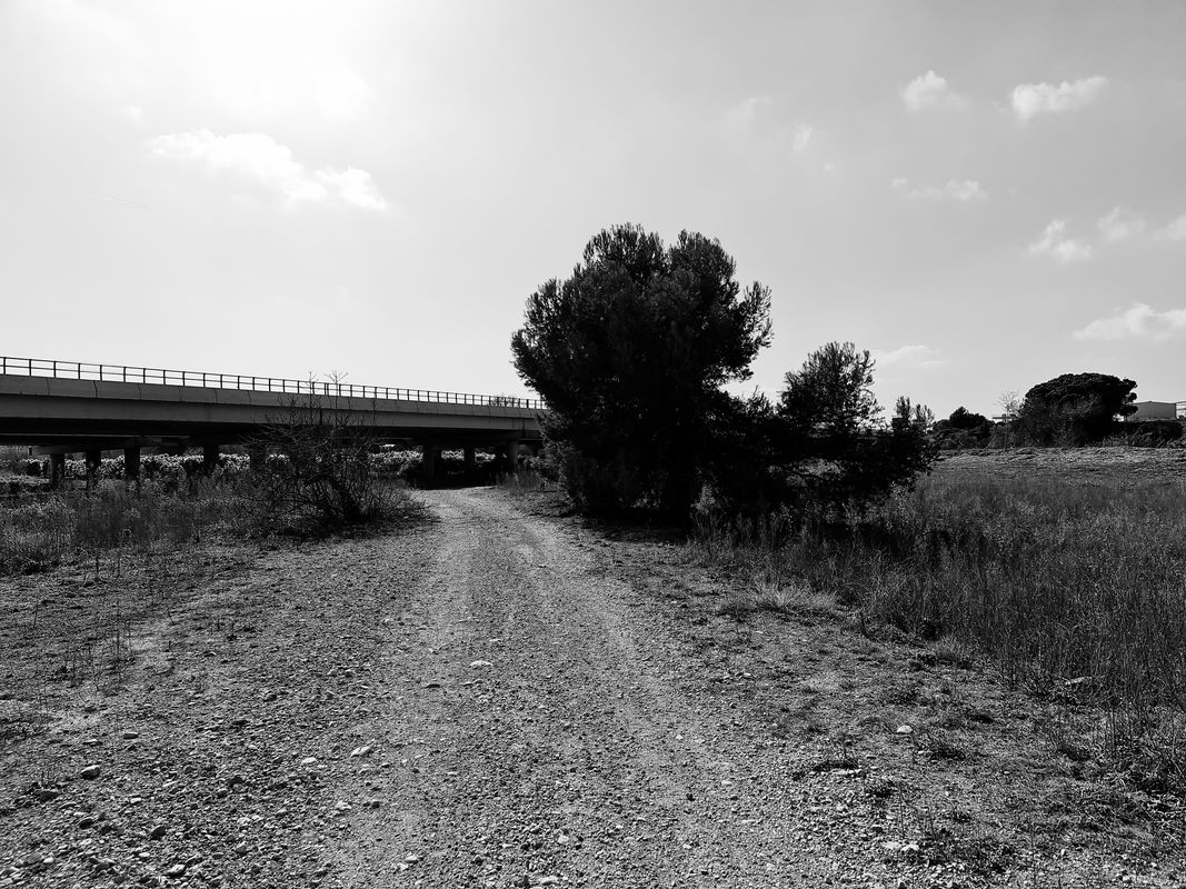Ruta a Passeig Marítim 122, Benicarló