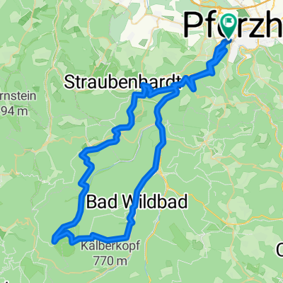 von Pforzheim über Dobel zur Grünhütte