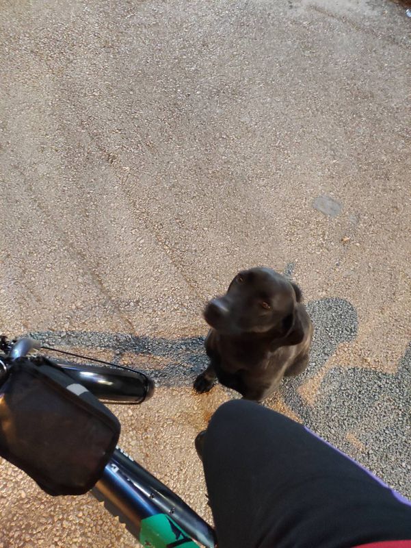 Steady ride in