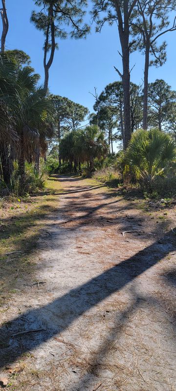 Causeway Boulevard 13, Dunedin to Causeway Boulevard 13, Dunedin