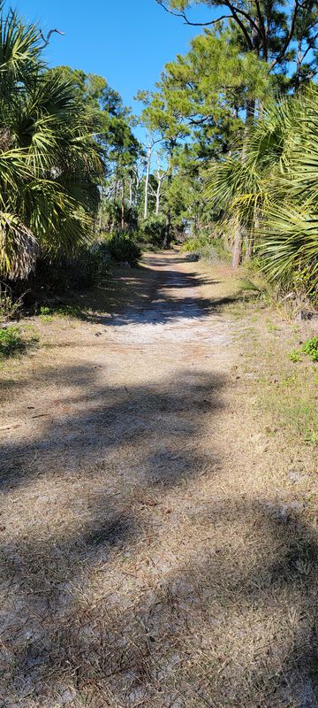 Causeway Boulevard 13, Dunedin to Causeway Boulevard 13, Dunedin