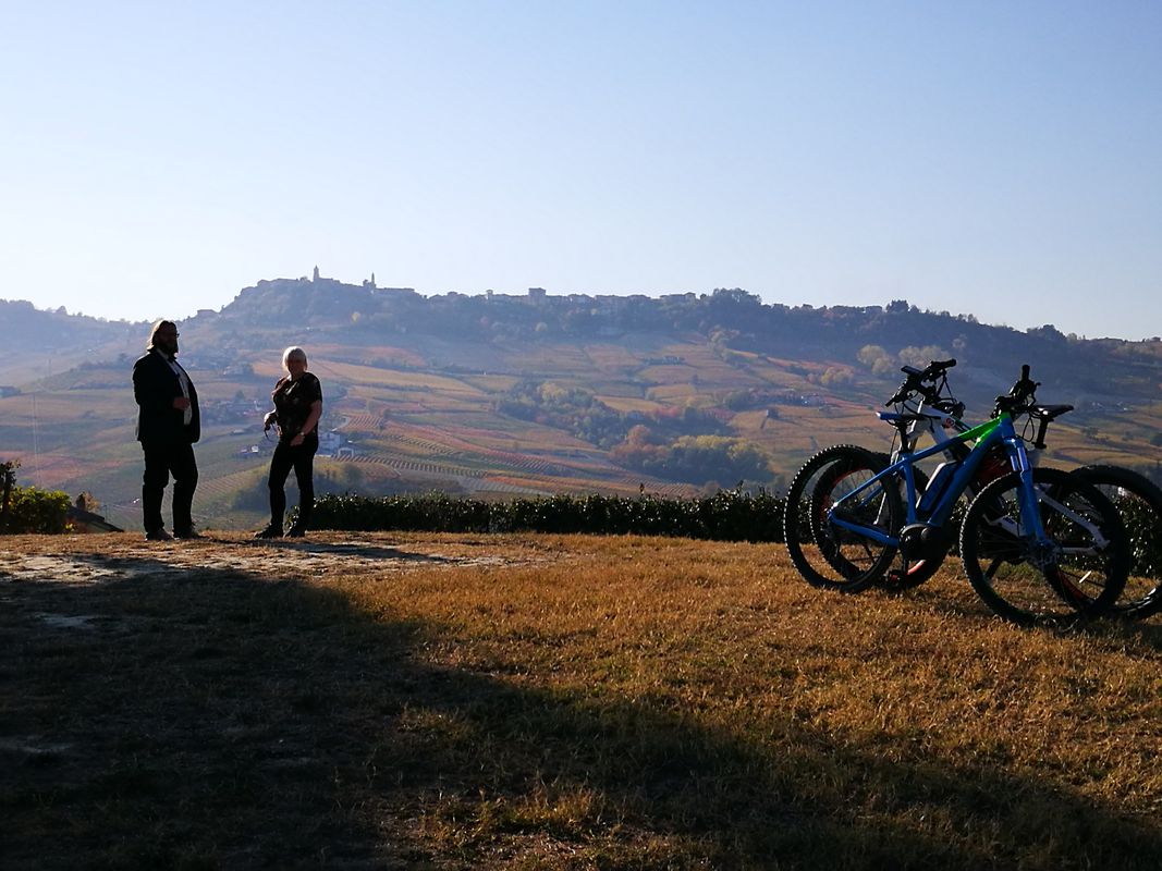 Cedar Tree Tour - Tour del Cedro