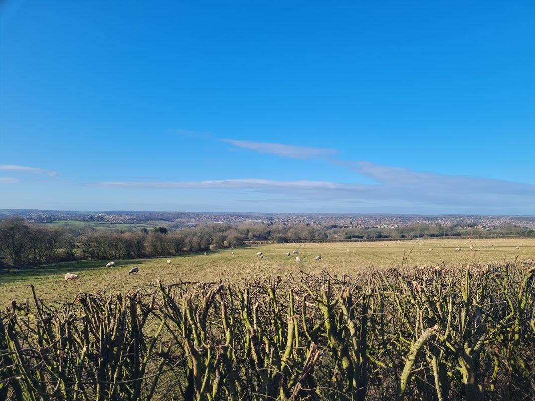 Holly Road 24, Watnall to Holly Road 24, Watnall