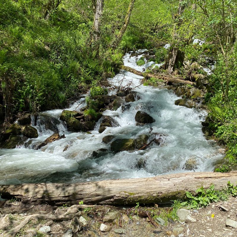 Красная Поляна
