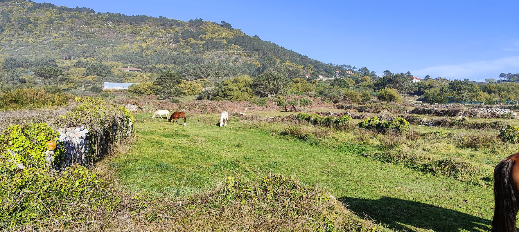 De Estrada de Circunvalación 186, A Guarda a 3 Transversal Baliños 5b, La Guardia