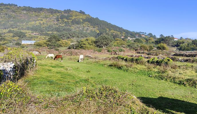 Photo 2 de l’itinéraire Bikemap « De Estrada de Circunvalación 186, A Guarda a 3 Transversal Baliños 5b, La Guardia »