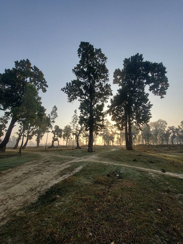Puzzle Trail Nepalgunj