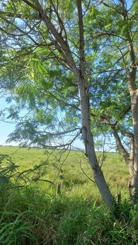 De Rua Bahia 48 a Avenida Amazonas 594