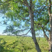 De Rua Bahia 48 a Avenida Amazonas 594