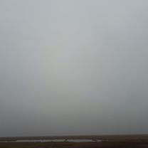 Gosforth Road 25 to Radnor Drive 86