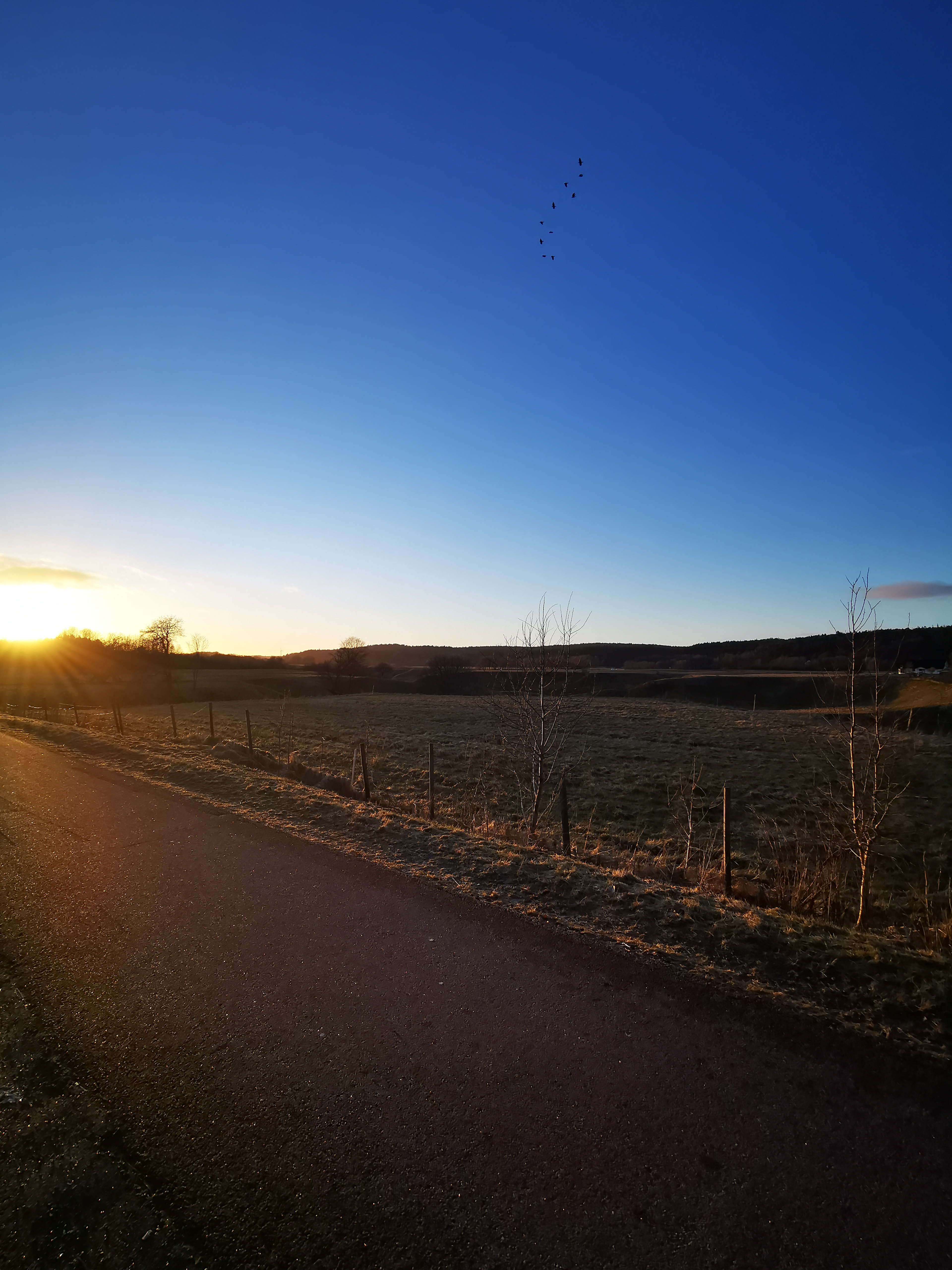 Bergmansgatan 5A to Ingareds Skolgata 54