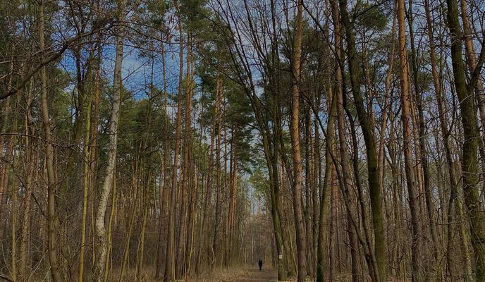 Foto 2 der Bikemap-Route "Trasa z Górczewska, Bemowo"