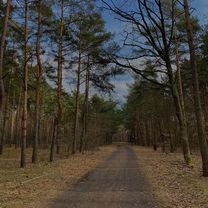 Trasa z Górczewska, Bemowo