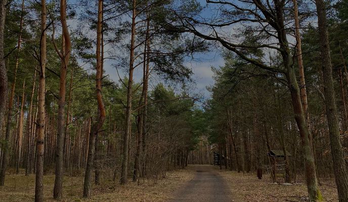 Foto 1 der Bikemap-Route "Trasa z Górczewska, Bemowo"