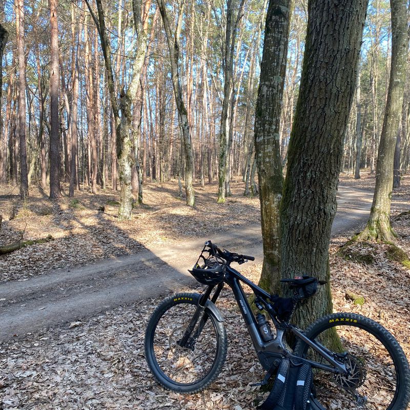 Trogergasse 4, Oberwart/Felsőőr nach Fichtengasse 4, Oberwart/Felsőőr
