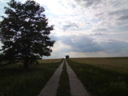Highlight 23 along the Bikemap route "Schloss Reichenow Tour"