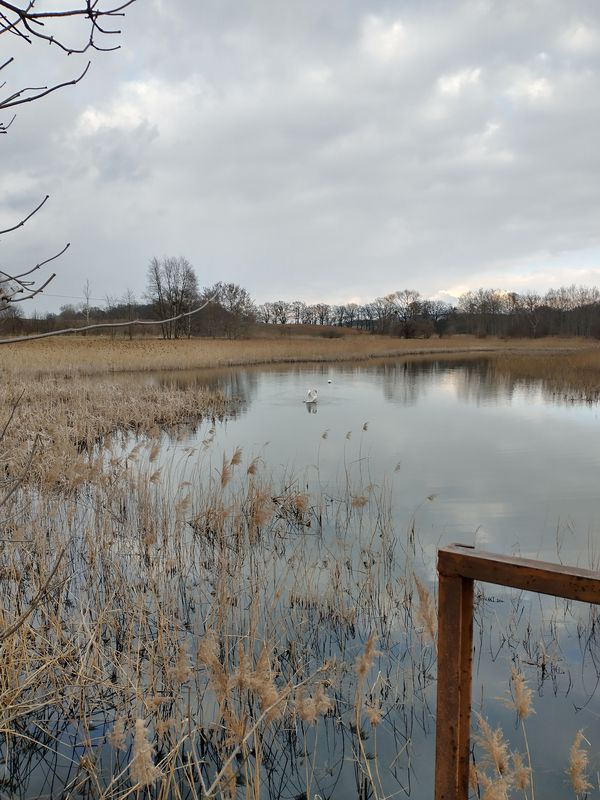 Korfantego 27, Rozwadza do Korfantego 23, Rozwadza