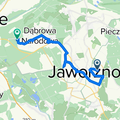 "373" Szpital Pętla - Łubowiec Cmentarz Pętla