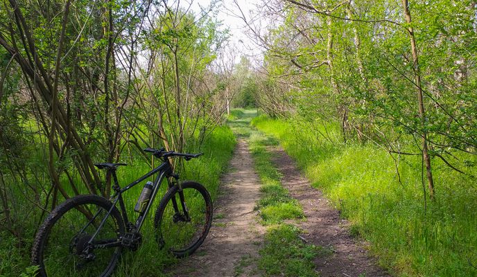 Photo 1 of the Bikemap route "Lacul Mihailesti MTB 42 km Clinceni - L. Mihailesti - Pd. Codalba - Lunca Argesului - Mihailesti - Clinceni (ADE 206)"