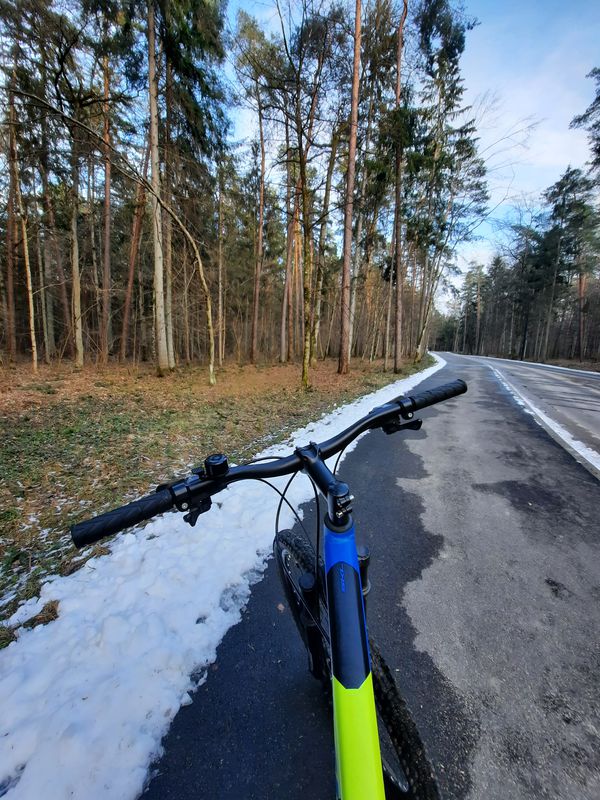 Aplink Alytų
