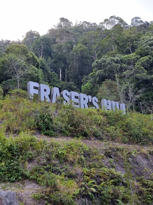 Photo 2: francis chear