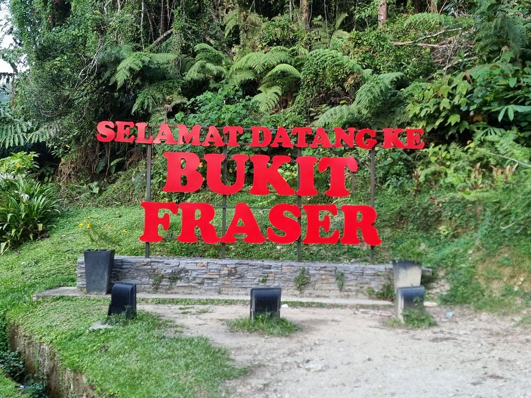 fraser hill surrounds