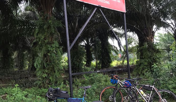 Photo 1 of the Bikemap route "29, Jalan Timun 24/1, Damansara to Jalan Utama Seri Cheeding, Tanjung Dua Belas"