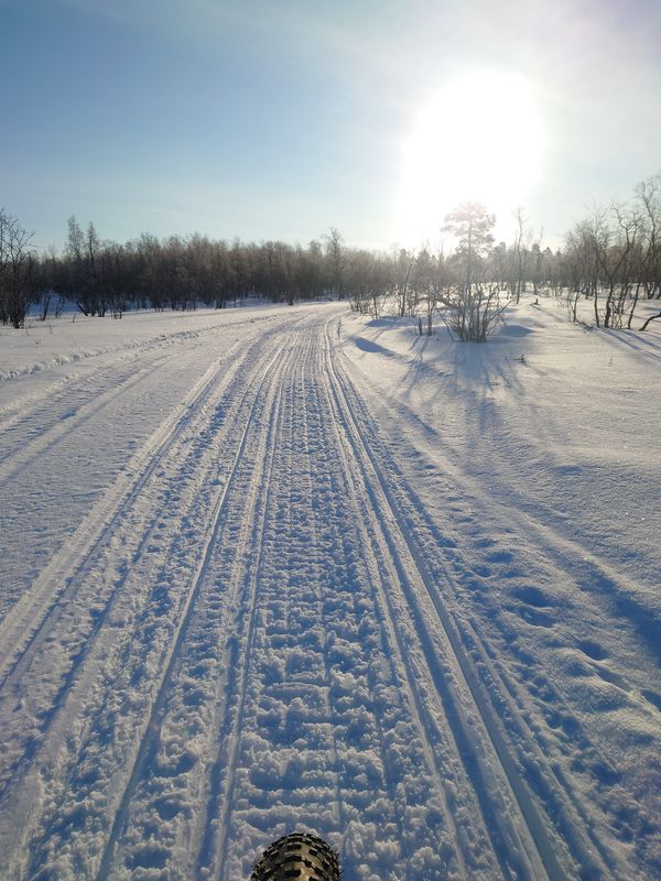 WINTER. Finding a way to top of The big Hill. Easy
