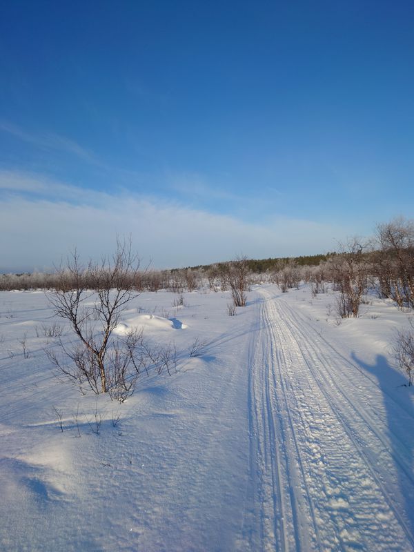 WINTER. Finding a way to top of The big Hill. Easy