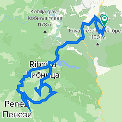Zlatibor vrh smučišča