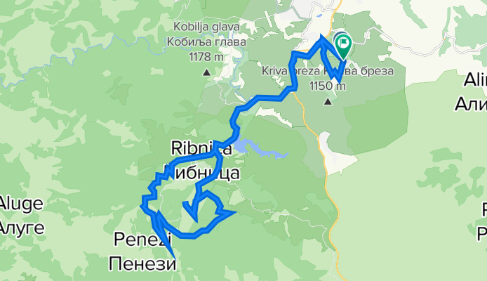 Zlatibor vrh smučišča