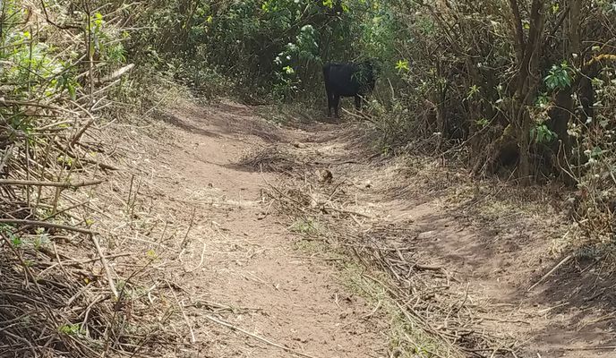 Foto 2 der Bikemap-Route "De Altavista 7, Ciudad de México a Vía sin nombre"