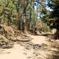 De Altavista 7, Ciudad de México a Vía sin nombre