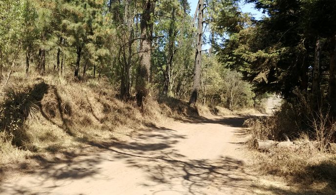 Foto 1 der Bikemap-Route "De Altavista 7, Ciudad de México a Vía sin nombre"