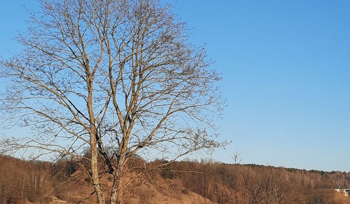 Foto 2 der Bikemap-Route "Lengvas pasivažinėjimas"