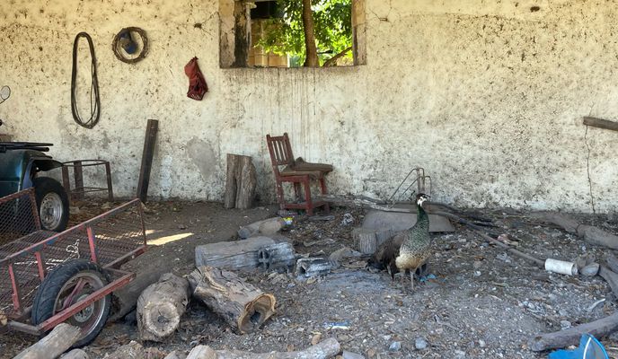 Photo 1 de l’itinéraire Bikemap « Recovered Route » Photo 1 de l’itinéraire Bikemap « Recovered Route »