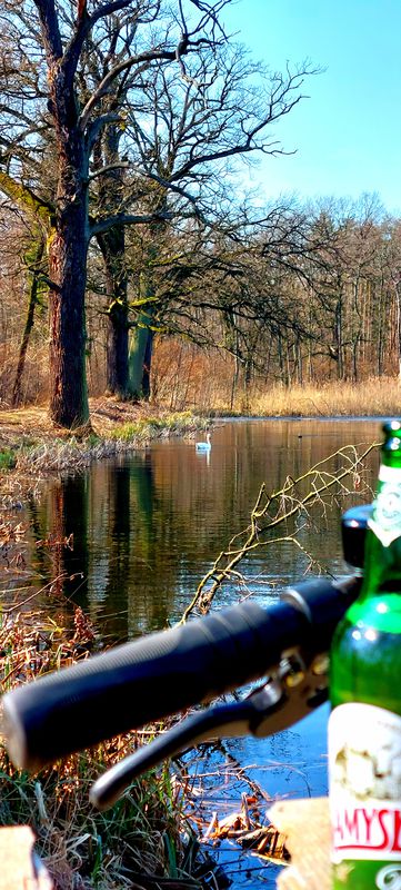 Spacerowa 8, Mirków do Spacerowa 9, Mirków