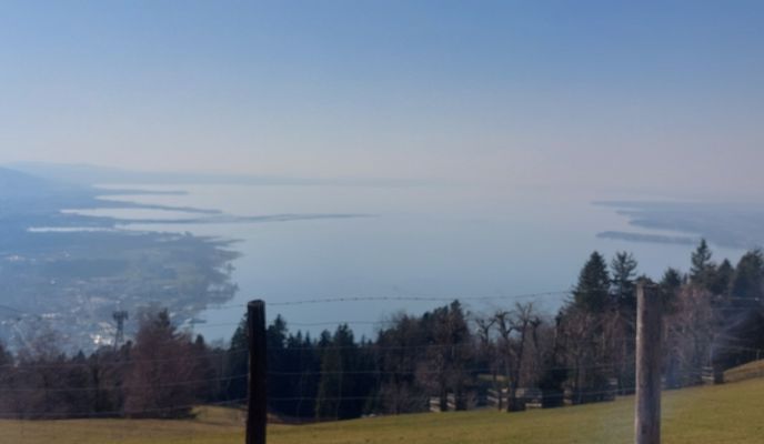 Photo 1 of the Bikemap route "Kressbronn  - Pfänder über Bregenz Fluh" Photo 1 of the Bikemap route "Kressbronn  - Pfänder über Bregenz Fluh"